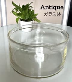 m78148520103_1.jpg?1716864748