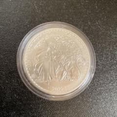 銀貨 99.9% 純銀 シルバー ウナ ライオン 銀貨 ブリタニア セント