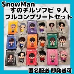 1/19までの期間限定出品！SnowMan すのチルソフビ9体フルコンプセット