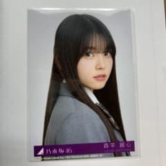 m73344101077_1.jpg?1743670844