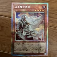 m84911850265_1.jpg?1761361760