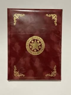 ルイーダの酒場 メダル王への道 コンプリートブック ドラゴンクエスト