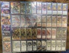 m84141459949_1.jpg?1606923189