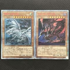 遊戯王 青眼の亜白龍 真紅眼の亜黒竜 20th 2枚セット - メルカリ