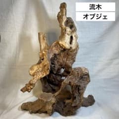 流木 天然木 置物 インテリア オブジェ - メルカリ