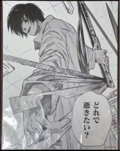 m87426217541_1.jpg?1739413172