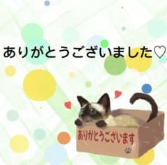 9397】海外 マステ 3/5/巻 PETマスキングテープ 猫 動物系 - メルカリ