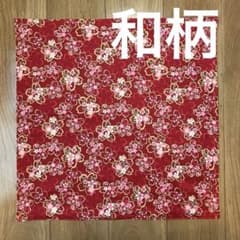 m81028994286_1.jpg?1731550176