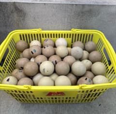 早い者勝ち】ソフトテニス ボール 5ダース 60球 中古 - メルカリ