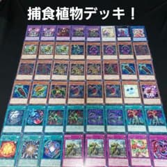 m97080185914_1.jpg?1711045756