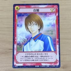 テニスの王子様 TCG トレカ テニプリ 不二周助 白鯨 ノーマルカード 1