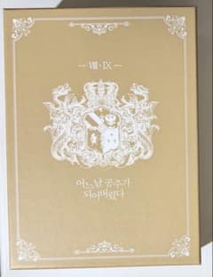 ある日お姫様になってしまった件について 豪華版 韓国版 イラスト