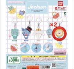 JOCHUM めじるしアクセサリー ビラ bira 2個セット - メルカリ