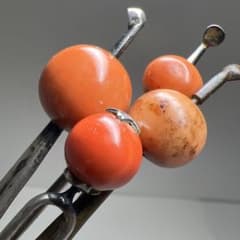 本赤珊瑚玉 簪4点 33g 東Y8-0203☆2Fトコチ - メルカリ