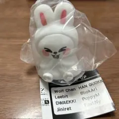 2026年最新】skzoo リノ leebit ぬいぐるみの人気アイテム - メルカリ