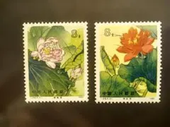 2026年最新】中国切手 蓮の花の人気アイテム - メルカリ