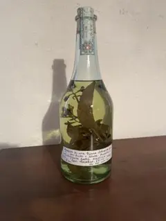 2026年最新】ロマーノレヴィの人気アイテム - メルカリ