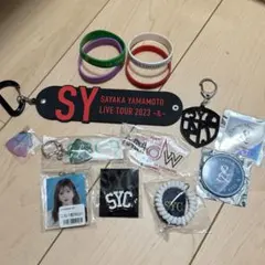 2026年最新】山本彩 キーホルダーの人気アイテム - メルカリ