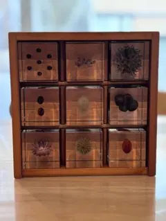 希少・特大】 標本棚 標本箱 17杯