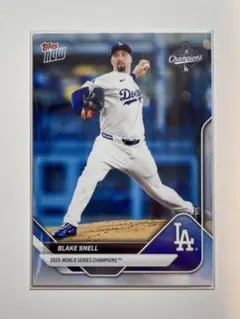 2026年最新】ブレイクスネルの人気アイテム - メルカリ