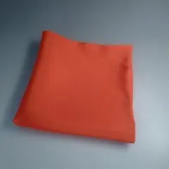 2026年最新】帛紗 朱の人気アイテム - メルカリ