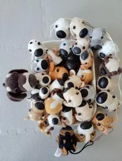 2026年最新】The Dog ハッピーセットの人気アイテム - メルカリ