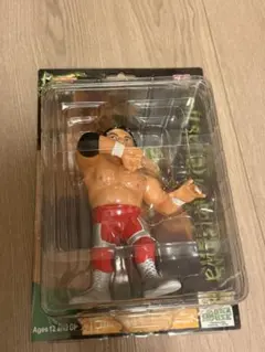 2026年最新】三沢光晴フィギュアの人気アイテム - メルカリ