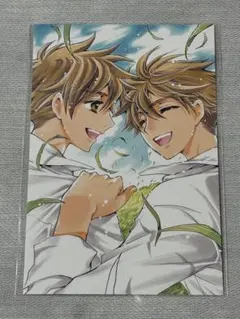 2026年最新】CLAMP ツバサ ポストカードの人気アイテム - メルカリ