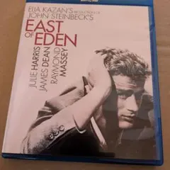 2026年最新】イースト・オブ・エデンの人気アイテム - メルカリ