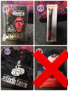 Acid Black Cherry ツアーグッズ もうすぐ始まりますね！！ | Acid