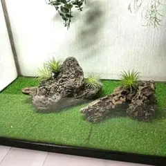 2026年最新】マシンガンウッドの人気アイテム - メルカリ