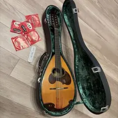 2026年最新】suzuki マンドリンの人気アイテム - メルカリ