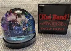 2026年最新】甲斐バンドVIP席限定グッズの人気アイテム - メルカリ