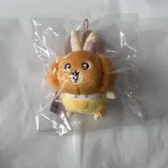 2026年最新】初回版かぼちゃなうさぎの人気アイテム - メルカリ
