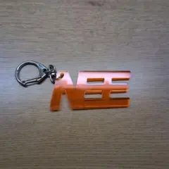 激レア非売品】NEE 初回限定盤+グッズ