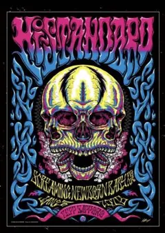 2026年最新】hi-standard ポスターの人気アイテム - メルカリ