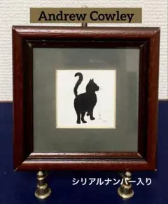 2026年最新】andrew cowleyの人気アイテム - メルカリ
