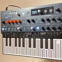 2026年最新】microfreakの人気アイテム - メルカリ