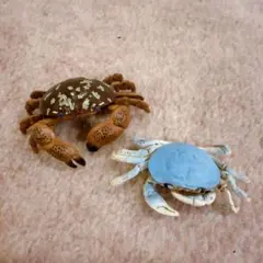 2026年最新】地球生命紀行 蟹・海老の人気アイテム - メルカリ