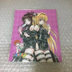 2026年最新】とらぶる ヤミ クリアファイルの人気アイテム - メルカリ