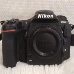 2026年最新】nikon D500 ジャンクの人気アイテム - メルカリ