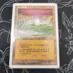 2026年最新】低木林地の人気アイテム - メルカリ