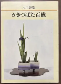 2026年最新】未生流の人気アイテム - メルカリ