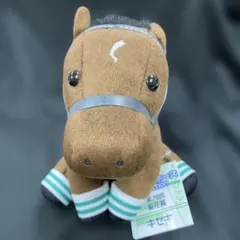 2026年最新】アイドルホース キセキの人気アイテム - メルカリ