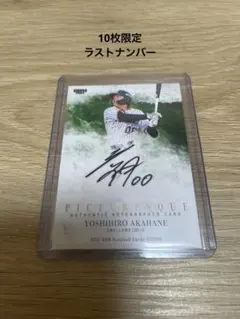 2026年最新】赤羽由紘 サインの人気アイテム - メルカリ