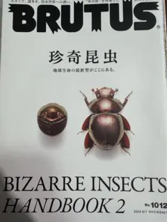 2026年最新】ホウセキカミキリの人気アイテム - メルカリ