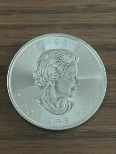 2026年最新】メイプルリーフ銀貨の人気アイテム - メルカリ