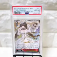 2026年最新】ペーター・シュトラッサー spの人気アイテム - メルカリ