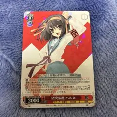 2026年最新】猪突猛進 ハルヒの人気アイテム - メルカリ