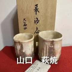 2026年最新】納富鳥雲の人気アイテム - メルカリ